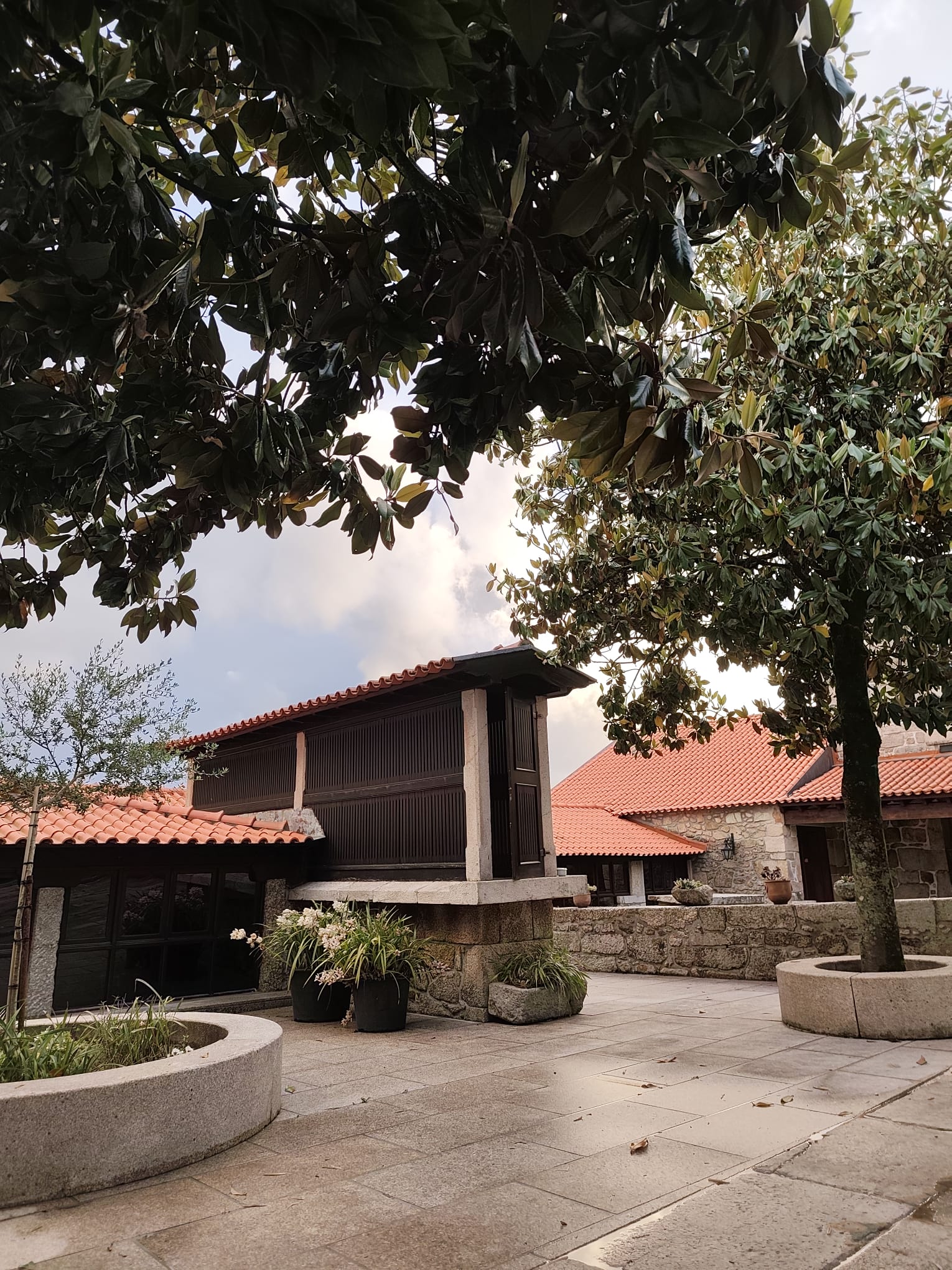 Exterior da Quinta do Coelho enquadrado por árvore de magnólia